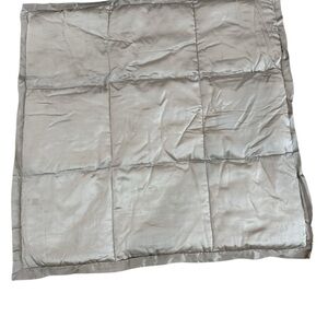 Donna Karan Platinum Ash Shams